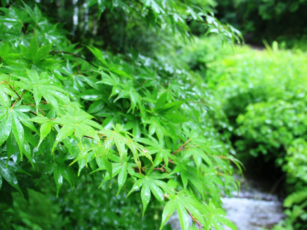 Kose Onsen Hotel Karuizawa Buitenkant foto